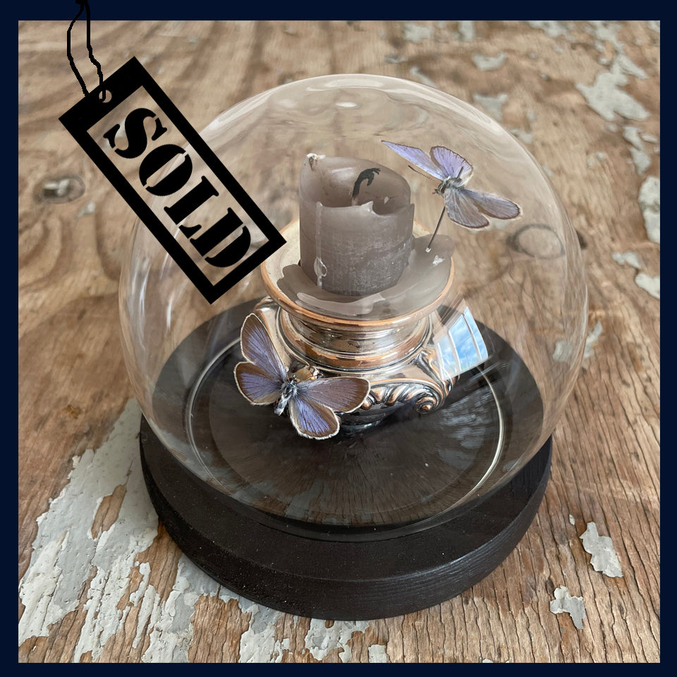 Enigma Variations Collection: Antique Silver-Plated on Copper Candlestick with 2 Vintage Blue Butterflies