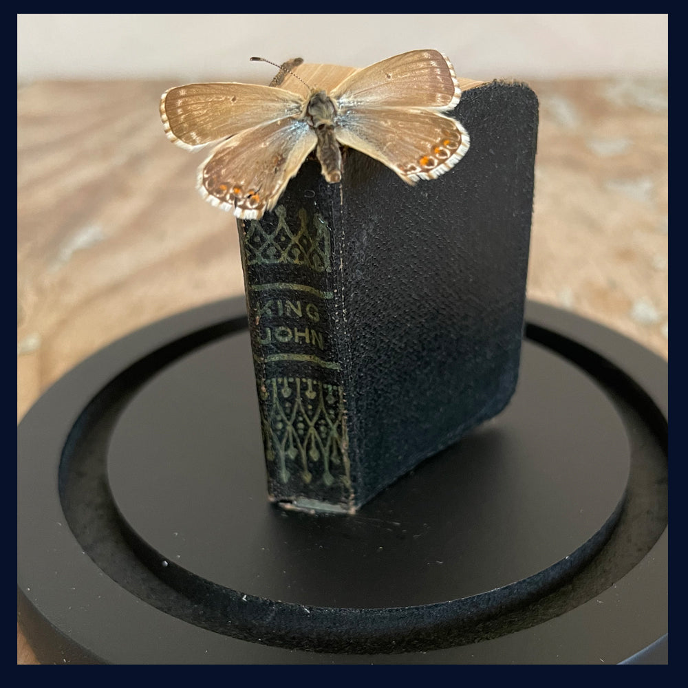 SOLD - Enigma Variations Collection: Miniature Antique Book - Shakespeare's 'King John' with a Specimen Butterfly in a Glass Display Dome