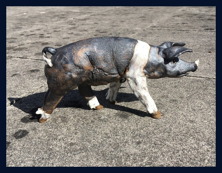 Small Saddleback Pig 4: Stoneware Sculpture by Elaine Peto