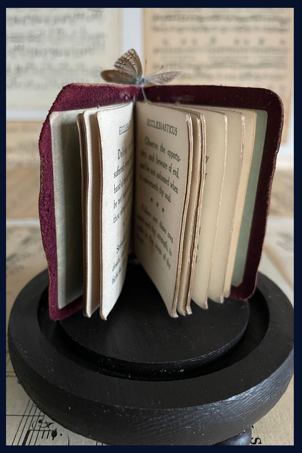 Enigma Variations Collection: Miniature Antique Leather Ecclesiastical Book and a Vintage Butterflies in a Glass Display Dome