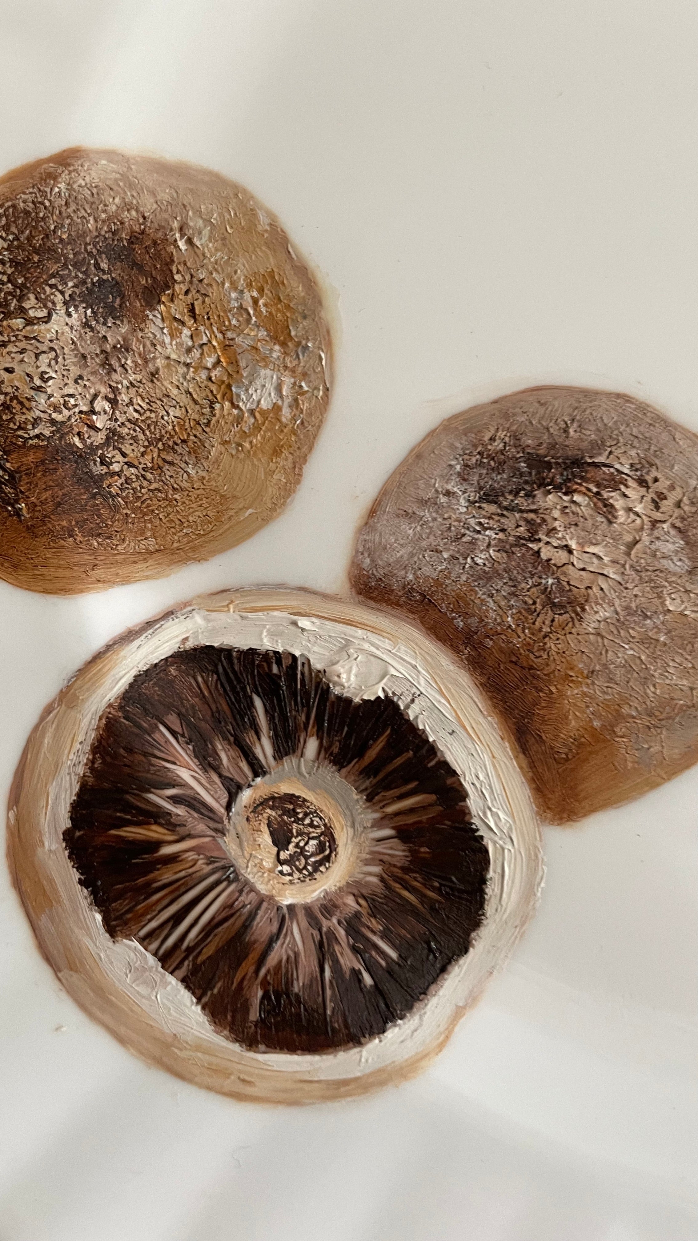 Plated: original fine art oil painting on a vintage  Royal Albert plate - Mushrooms