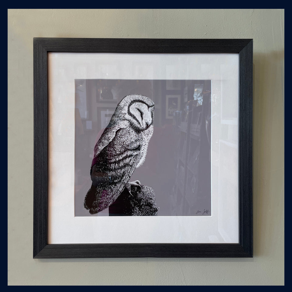 Framed Roost 2. Aviary Colour Block Fine Art Print - 10 colours available