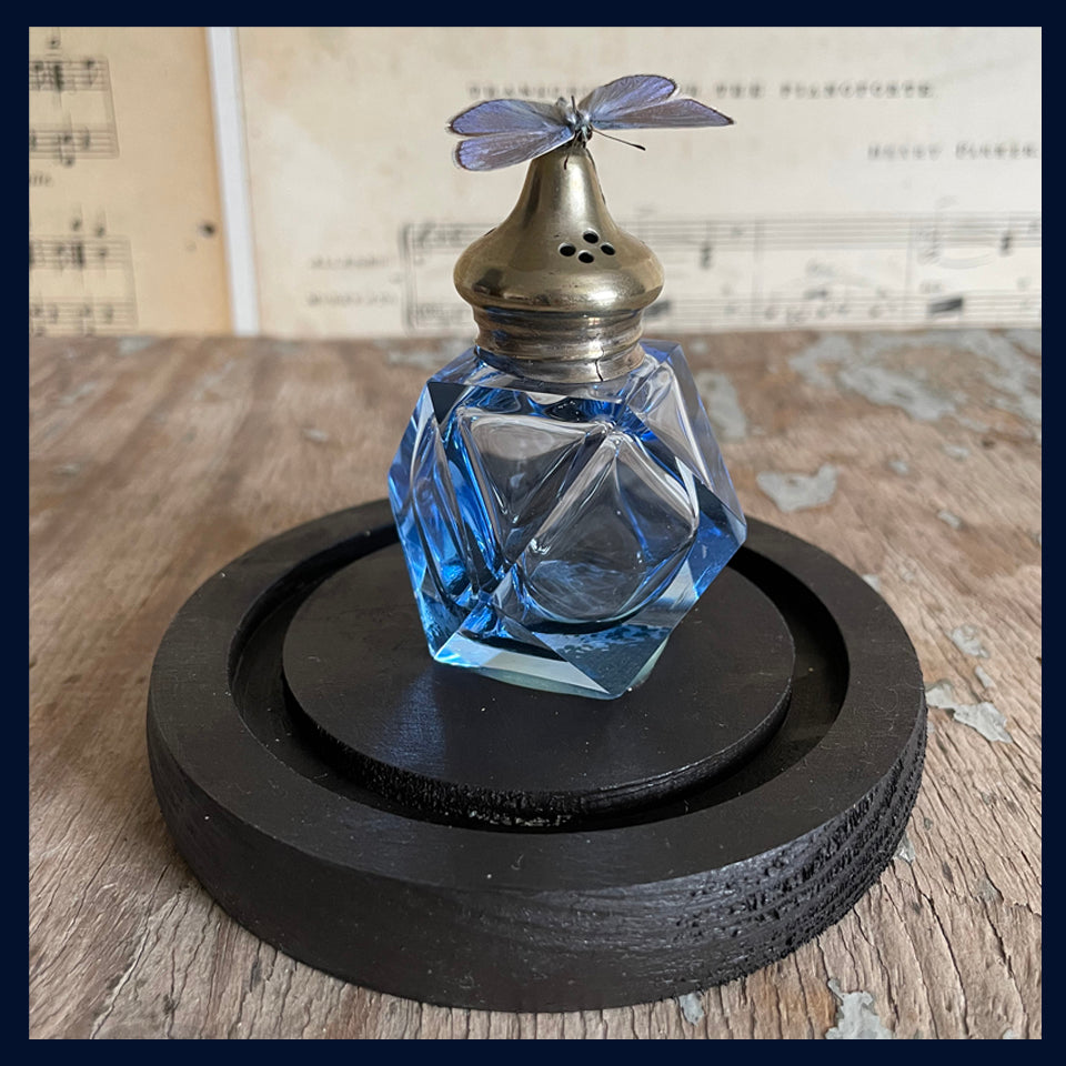 SOLD Enigma Variations Collection: Antique Cut Crystal Condiment with a Vintage Butterfly in a Glass Display Dome