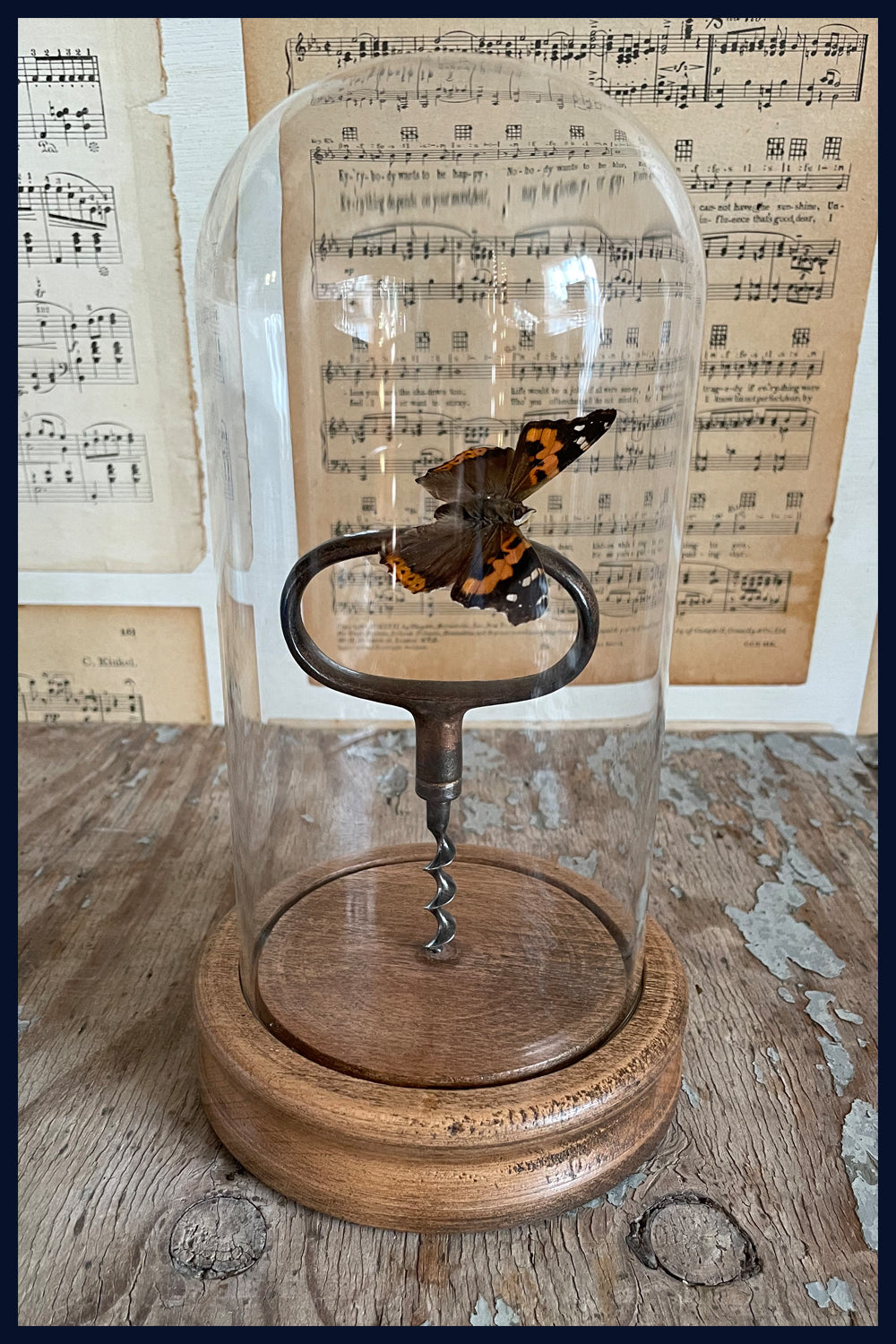 Enigma Variations Collection: Antique Bronze Corkscrew with a Vintage Red Admiral Butterfly in a Glass Display Dome