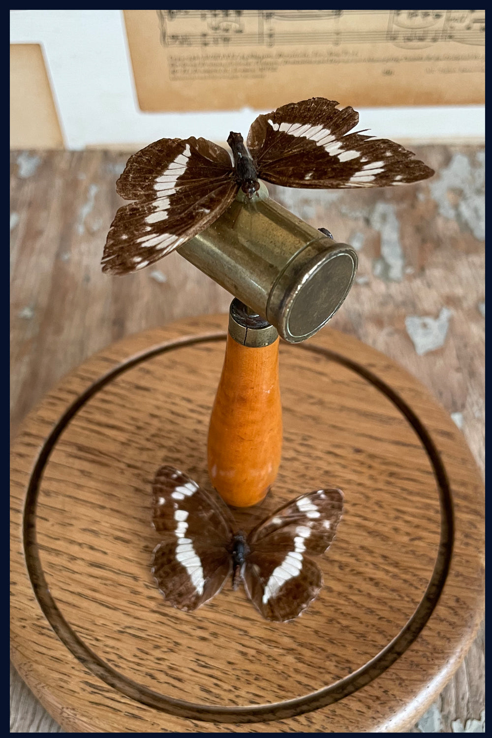 Enigma Variations Collection: Antique Hunting Brass & Wood 1800s Shot Measure with 2 Vintage Butterflies in a Glass Display Dome