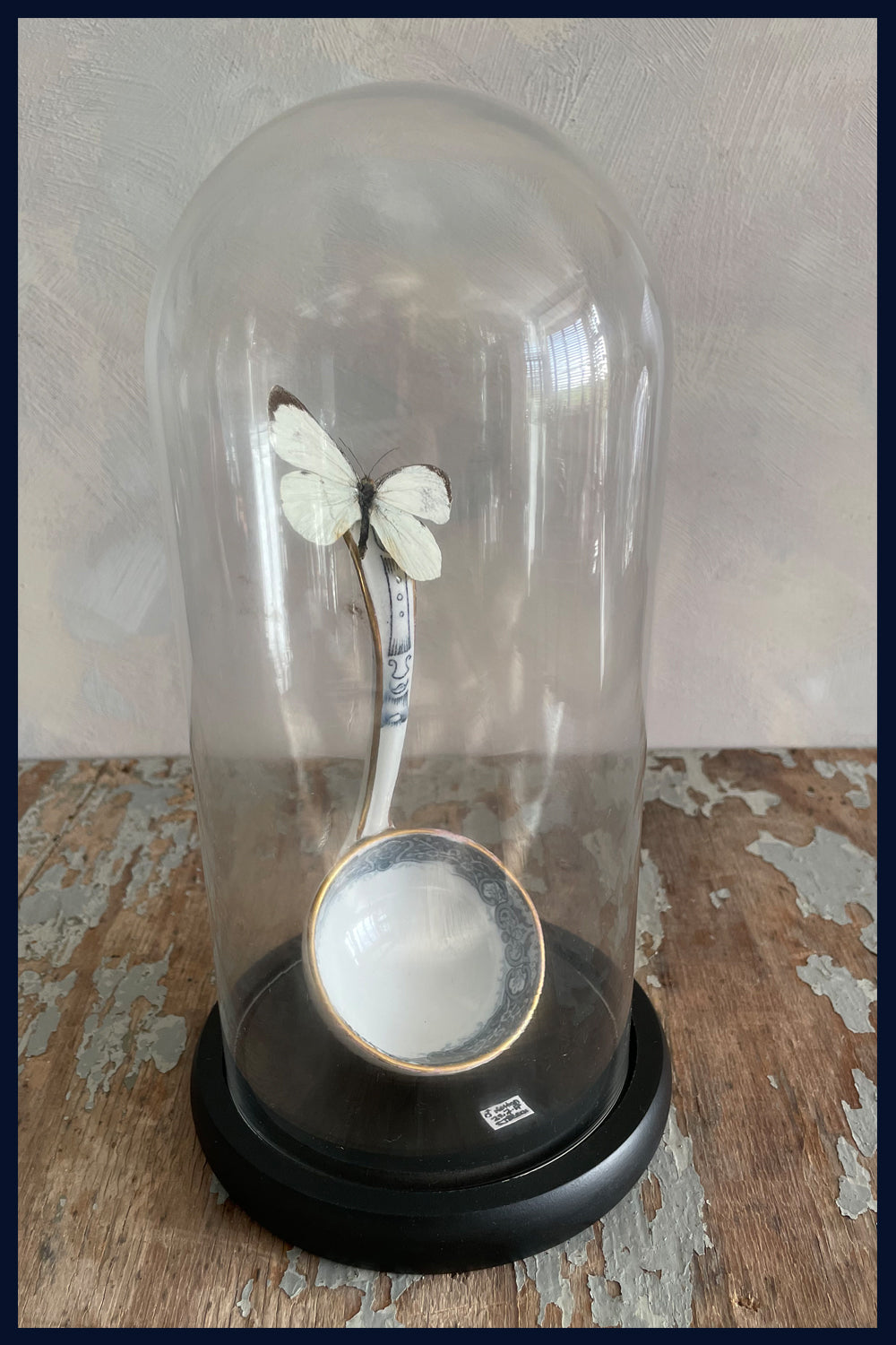 Enigma Variations Collection: Antique China Ladle with a Vintage White Butterfly under a Glass Display Dome