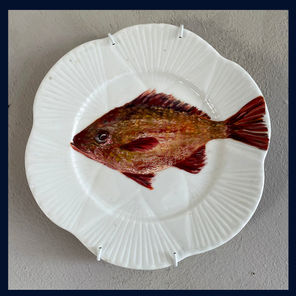 Plated: original fine art oil painting on a vintage plate - red snapper fish