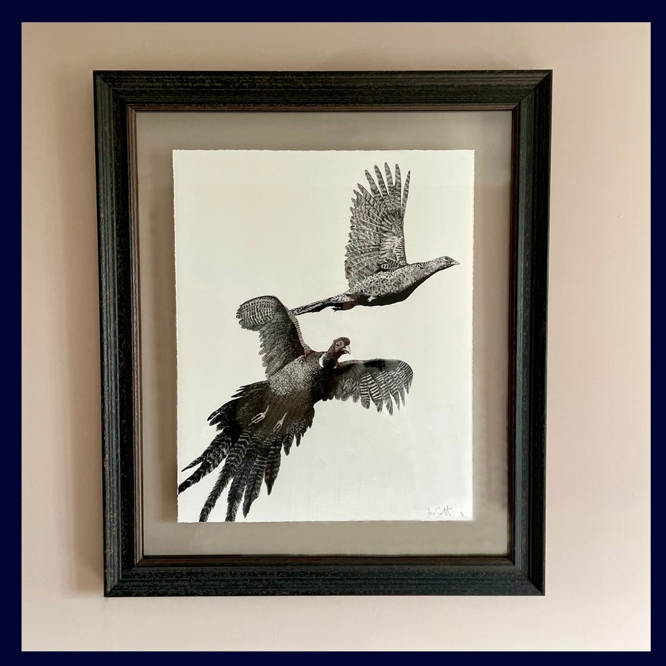 Floated and Framed Flurry: Two Pheasants. Limited Edition of 50 Fine Art Print
