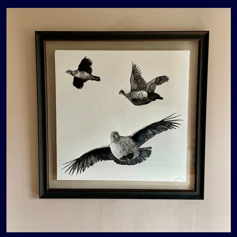 Floated and Framed Flushed: Three Partridges. Limited Edition of 50 Fine Art Print