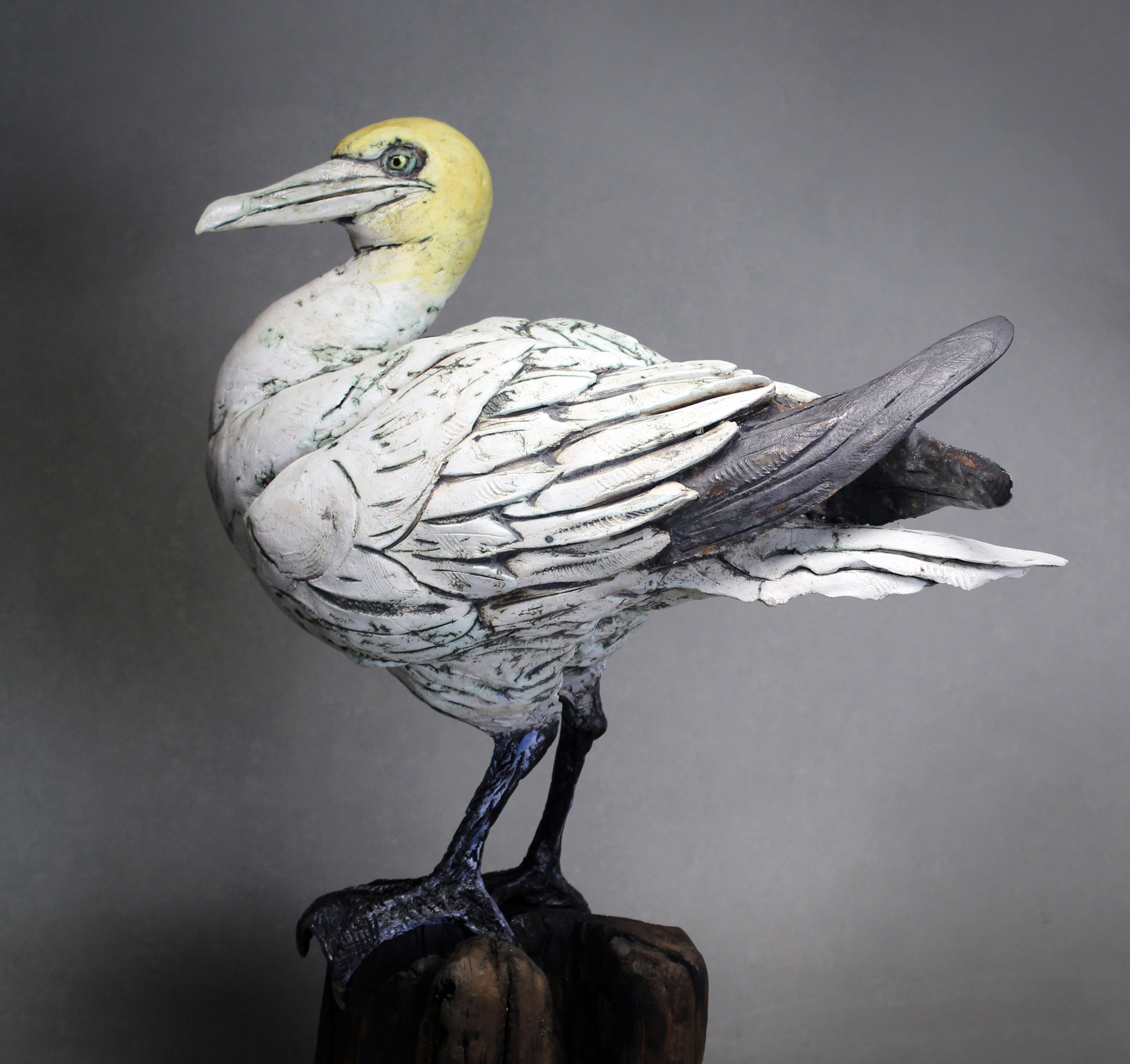 Fur & Feathers: The Extraordinary Ceramics of David Cooke