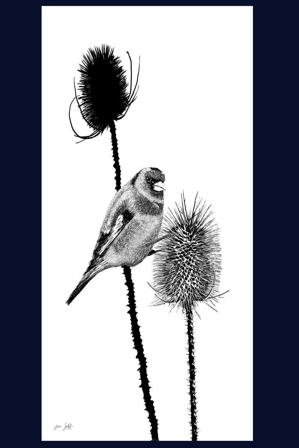 REDUCED Tiny Worlds: Goldfinch & Teasels Fine Art Print FRAMED