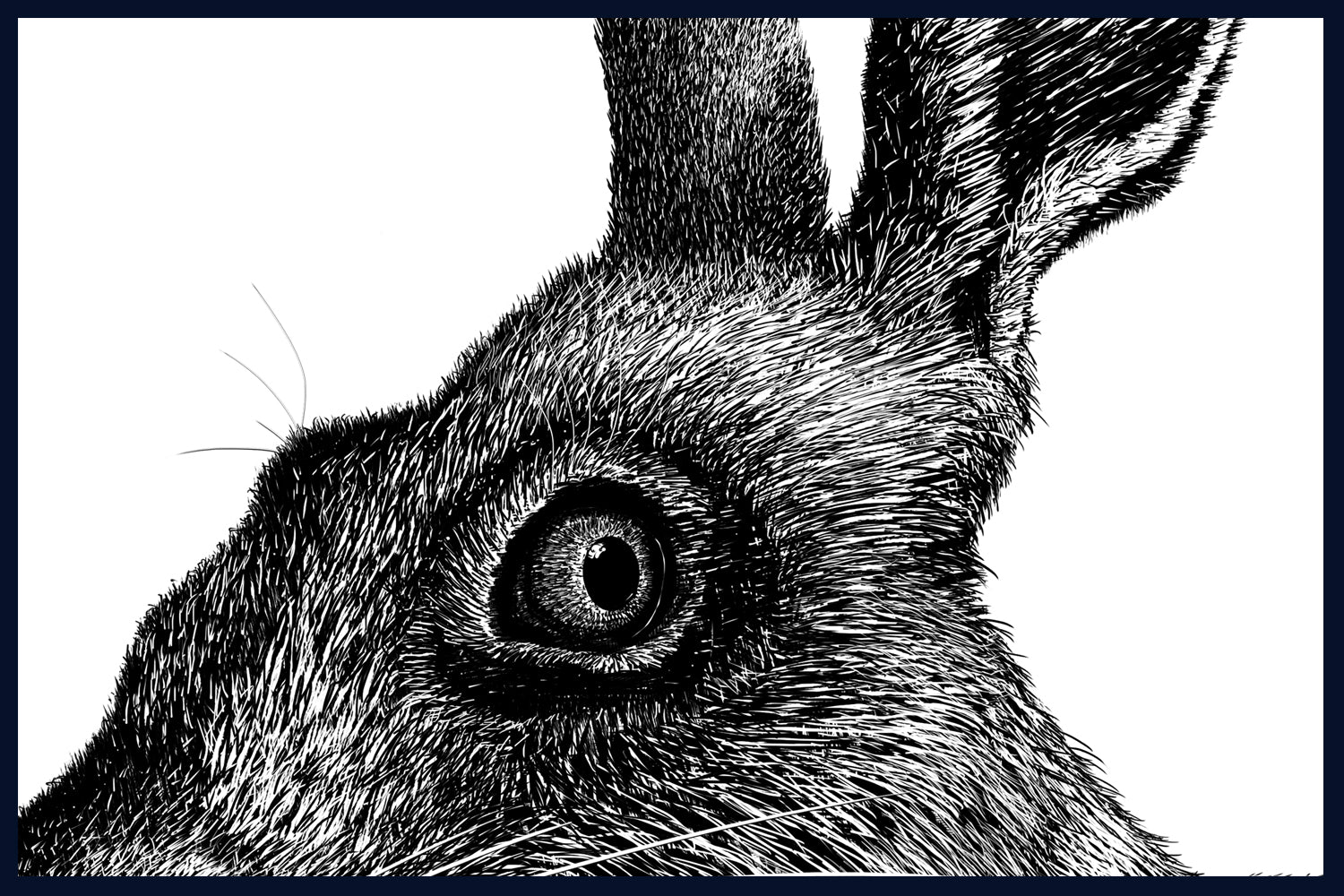 Hare, Norfolk. Pen and Ink artwork by Jac Scott