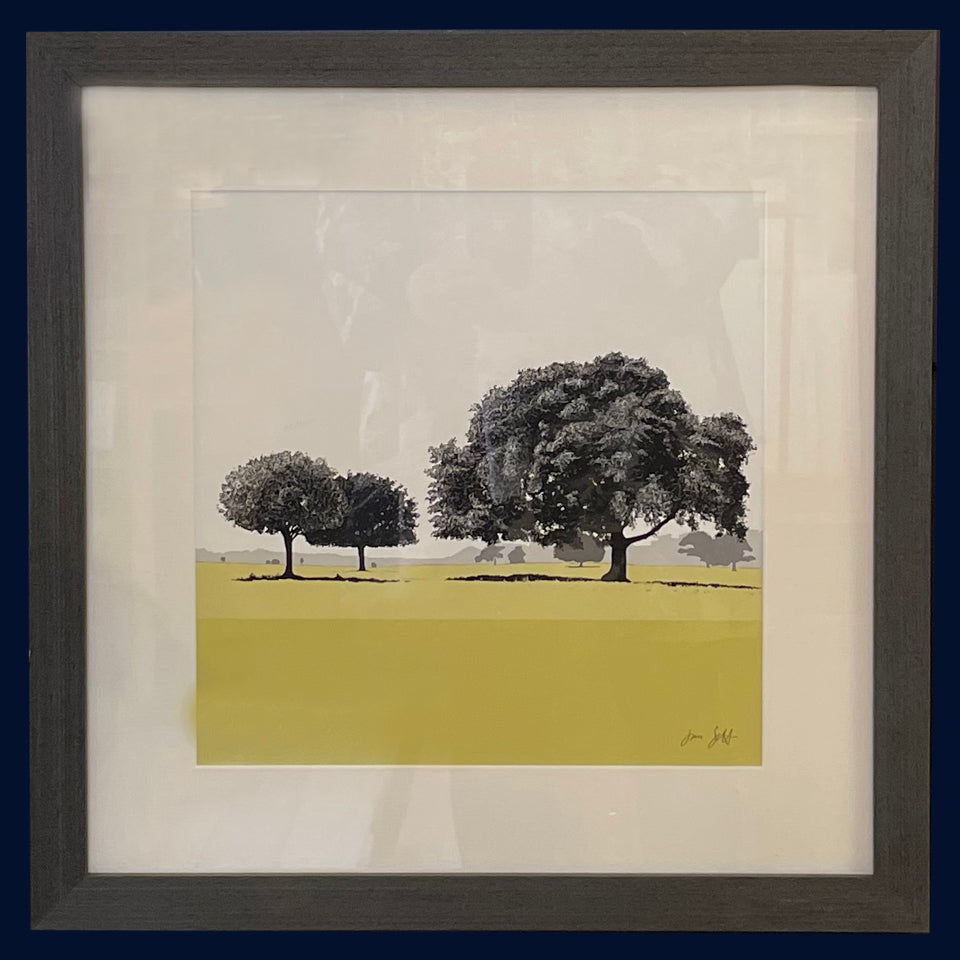 Framed Holm Oaks, Holkham, Norfolk. Arboretum Colour Block Fine Art Print - 9 colours available