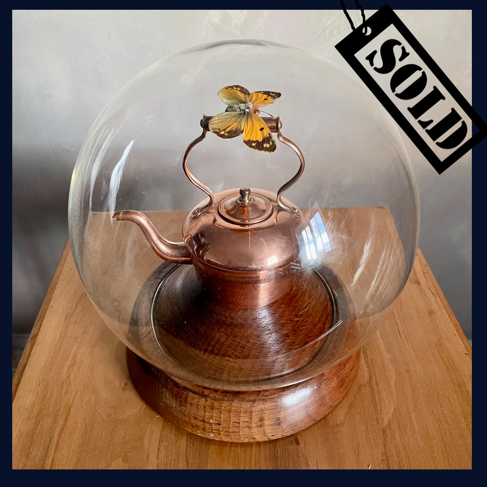SOLD Enigma Variations Collection: Tiny Antique Copper Kettle with a Real Butterfly in a Glass Display Dome