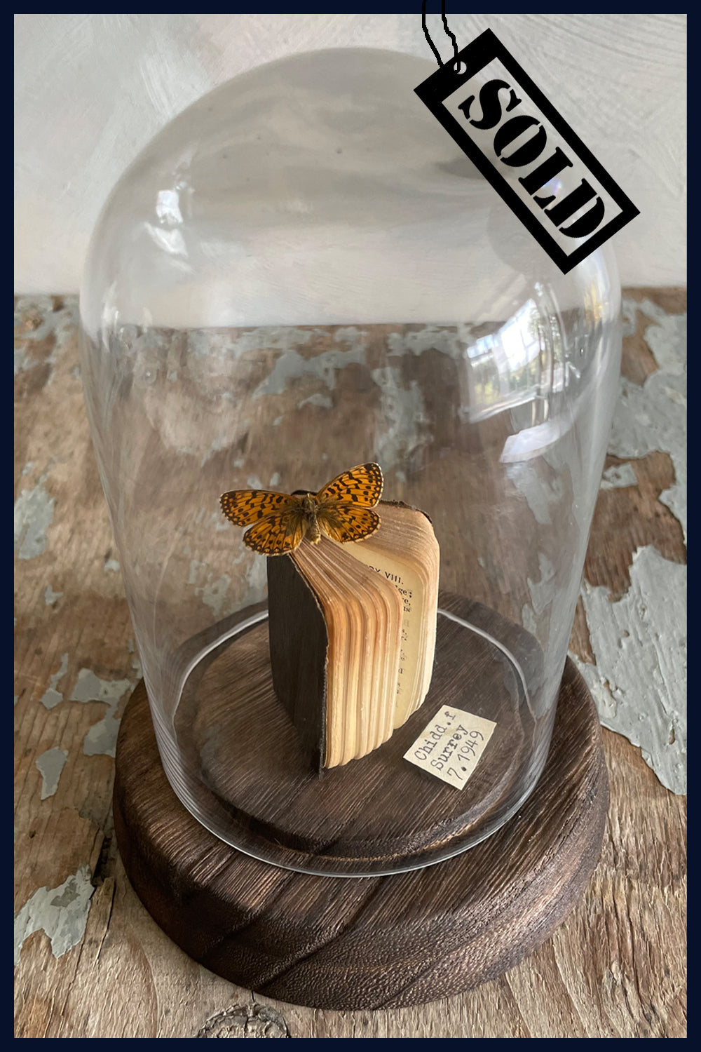 SOLD Enigma Variations Collection: 1920/30s Miniature Shakespeare's The Tempest with a Butterfly under a Display Dome