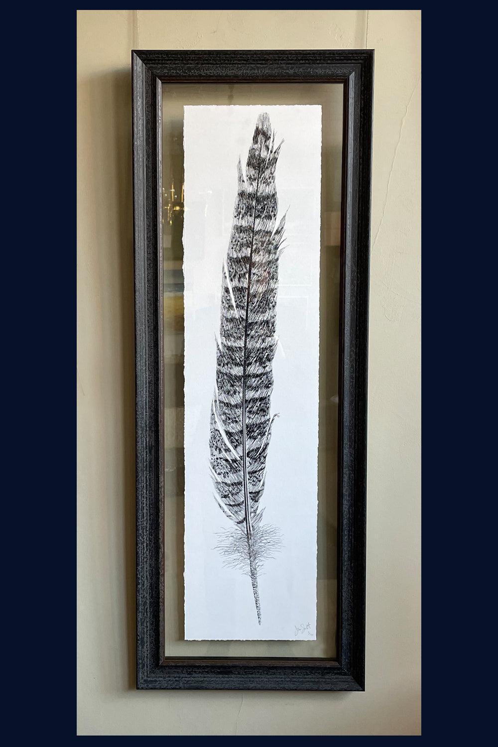 Floated & Framed Aviary Collection: Pheasant Feather. Limited Edition Fine Art Print