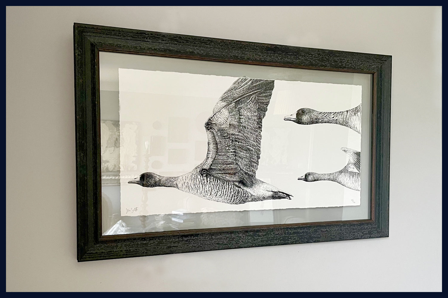 Sky Dance. Pink Footed Geese, Norfolk. Pen and Ink artwork by Jac Scott