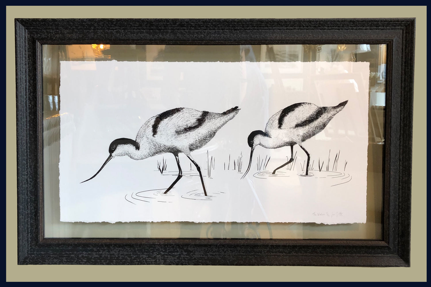 The Waders, Avocets. Norfolk. Pen and Ink artwork by Jac Scott