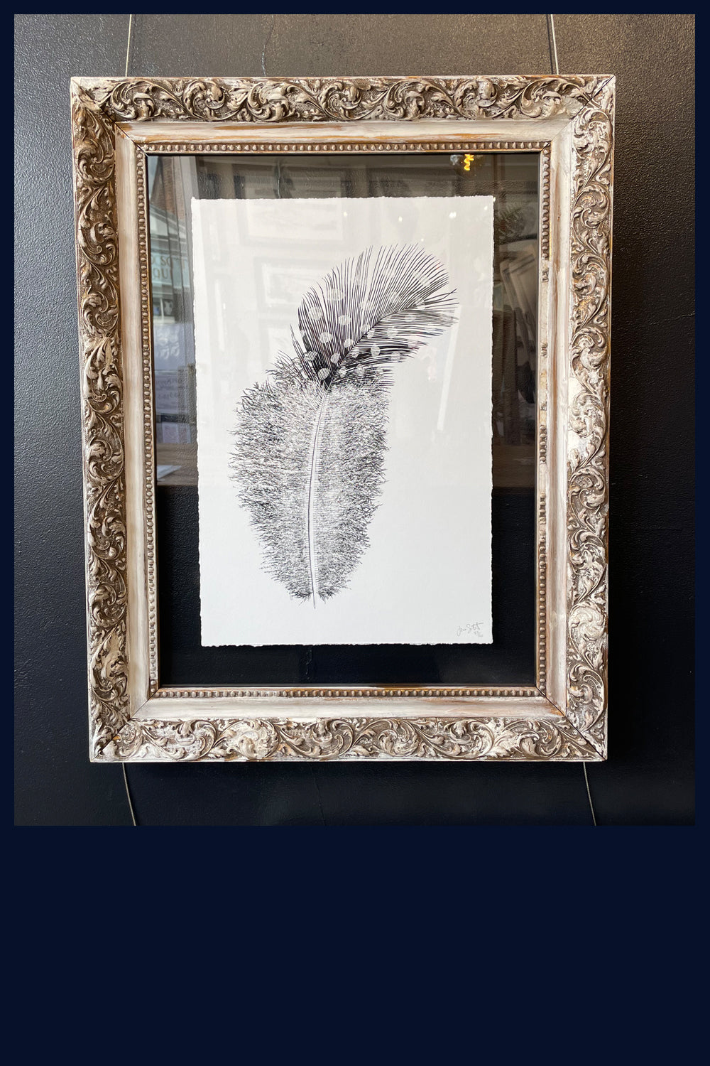 Floatted Floated & Framed in Vintage Gilt Frame - Aviary Collection: Lost Plume ...