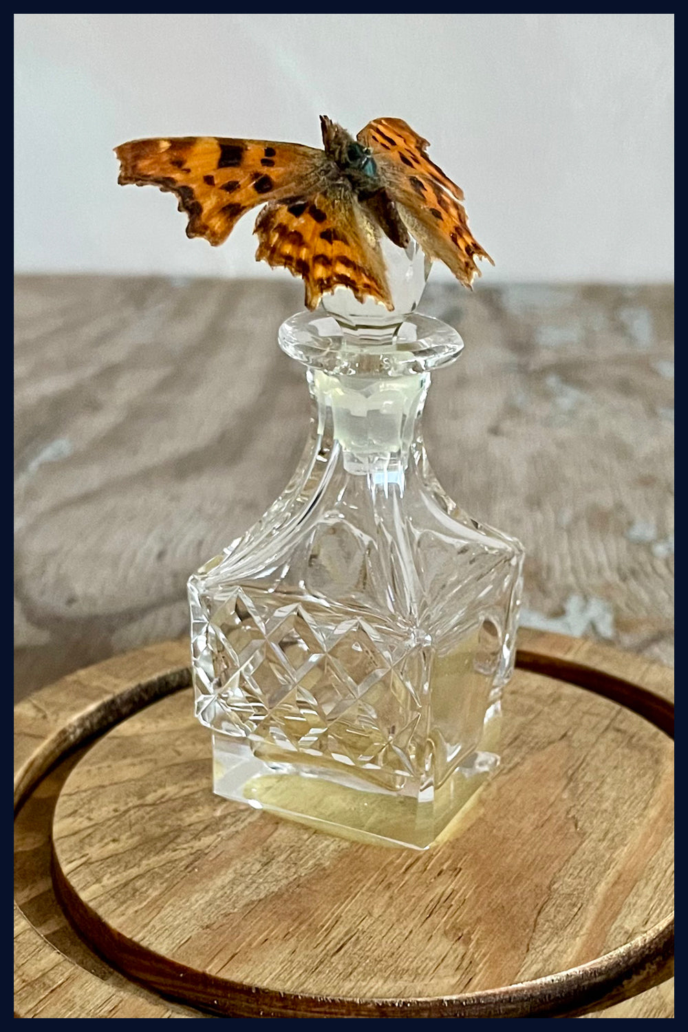 Enigma Variations Collection: Vintage Cut-Crystal Bottle with a Vintage Butterfly in a Glass Display Dome
