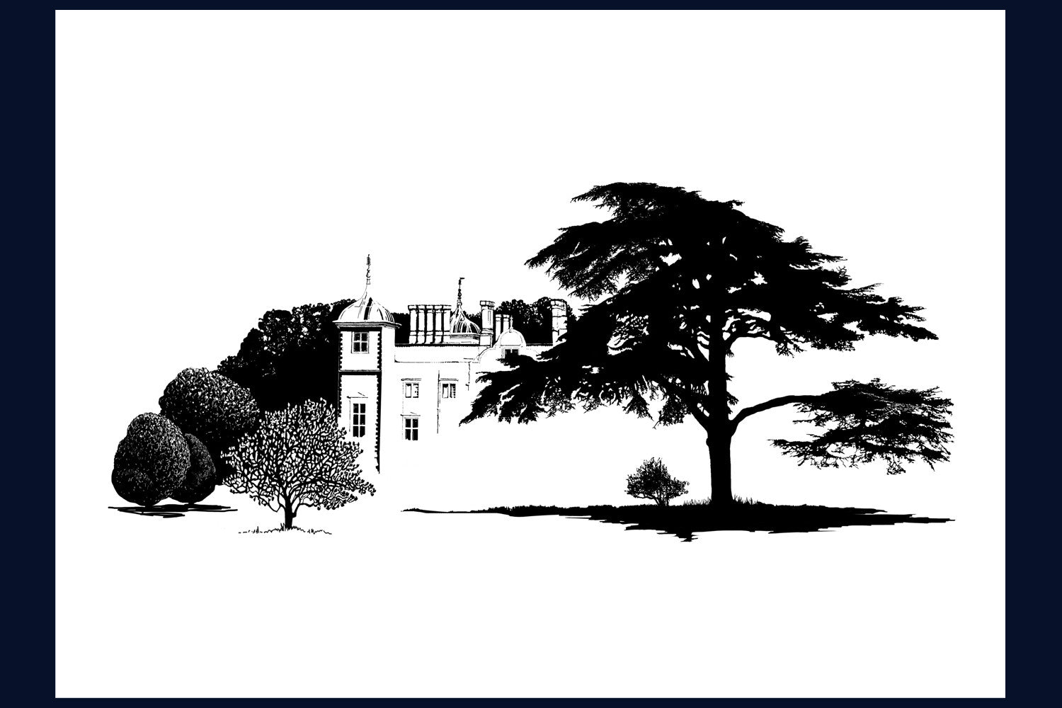 Arboretum Collection 'Cedar, Blickling Hall, Norfolk' Limited edition (50) Fine Art Print