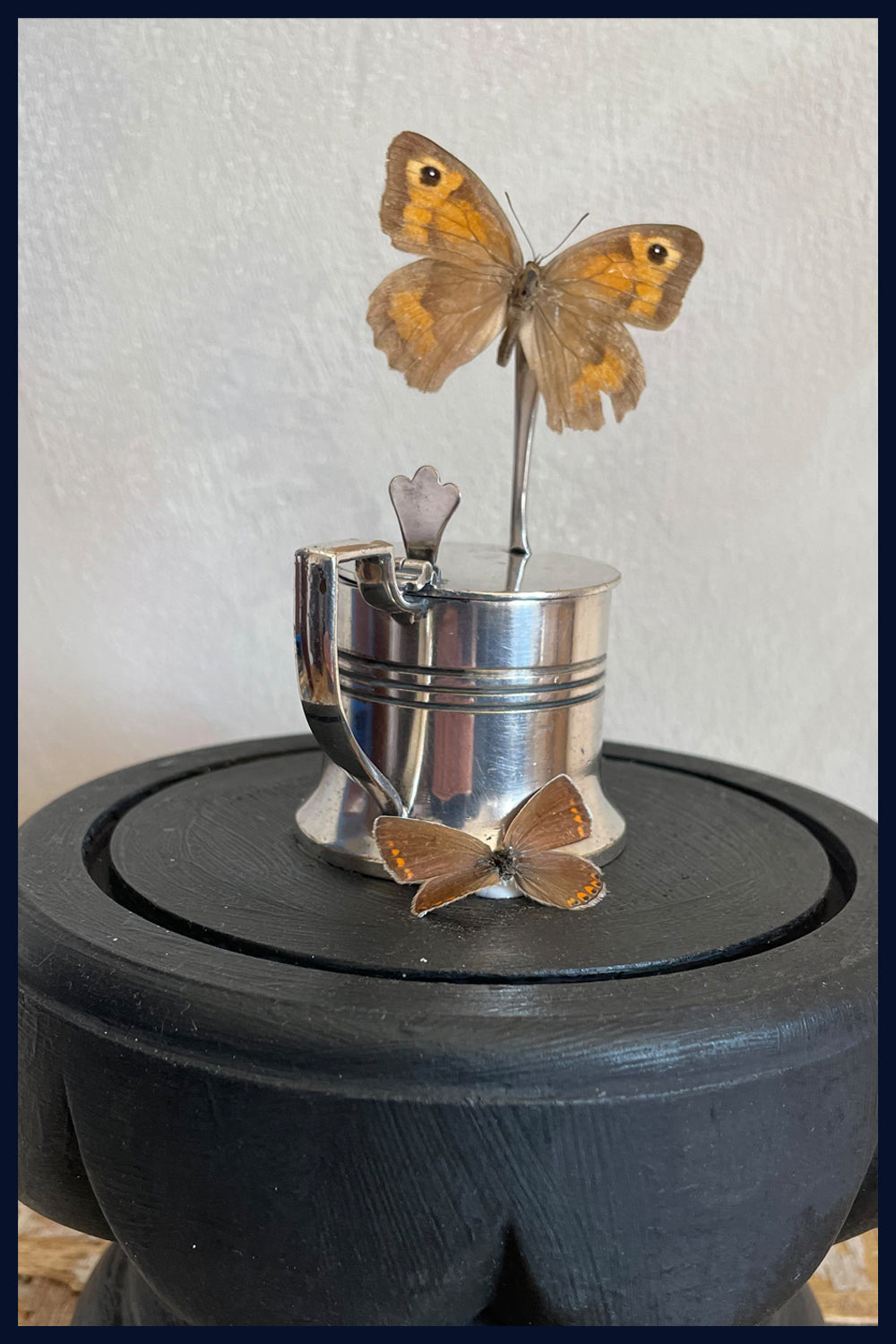 Enigma Variations Collection: An Antique, Silver-Plated Mustard Pot & Spoon with 2 Vintage Butterflies in a Display Dome