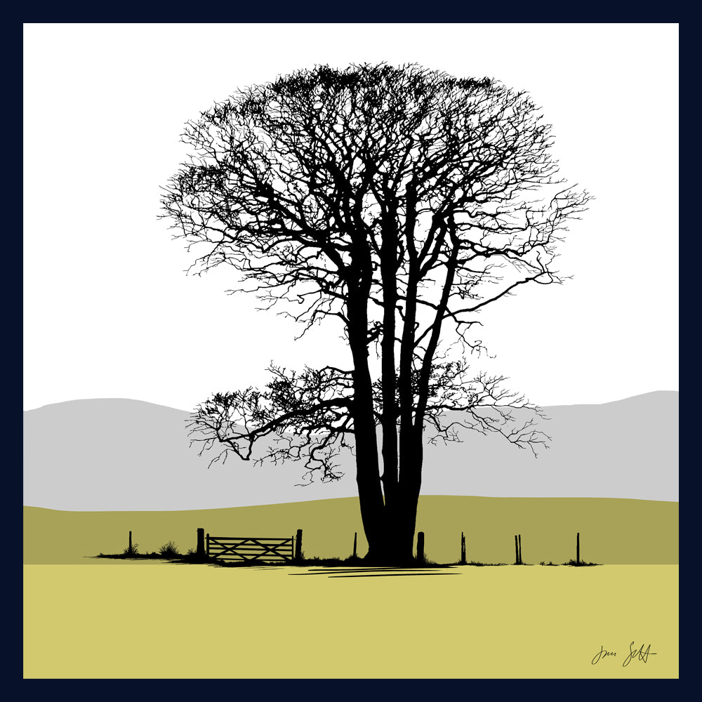 Beech Felbrigg, Norfolk. Fine art print buy Jac Scott