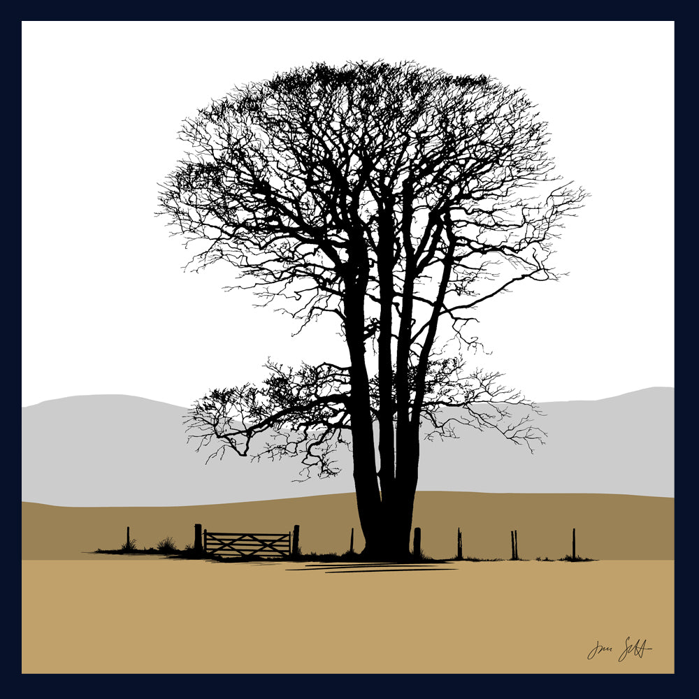 Beech Felbrigg, Norfolk. Fine art print buy Jac Scott