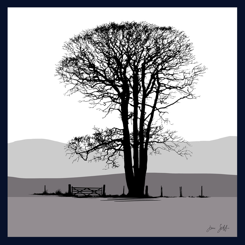 Beech Felbrigg, Norfolk. Framed fine art print buy Jac Scott