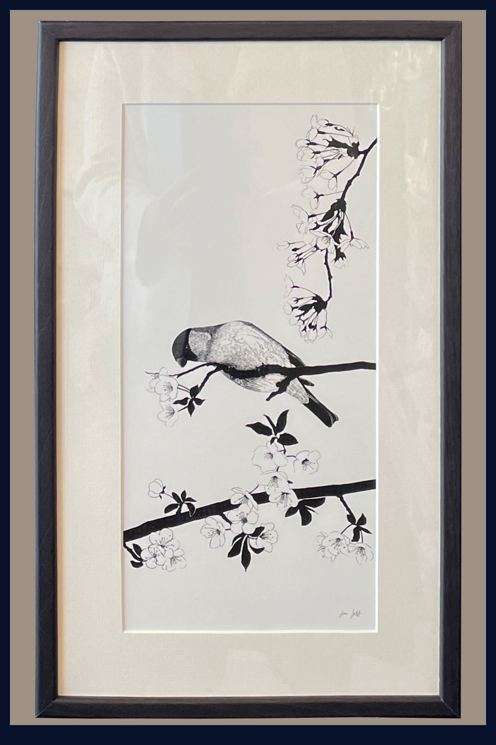 Bullfinch on Blossom Norfolk framed fine art print by Jac Scott