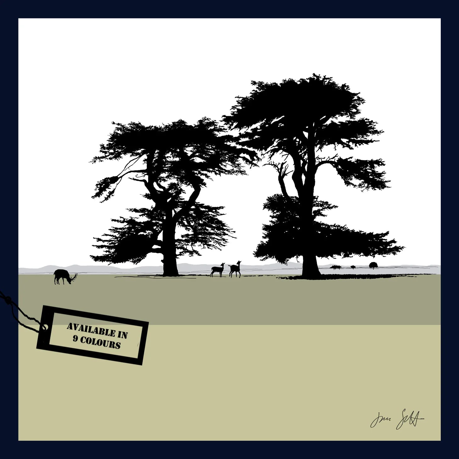 Cedars, Holkham Norfolk. Fine art framed print by Jac Scott.