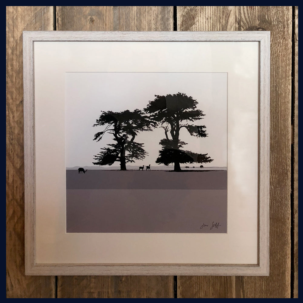 Cedars, Holkham Norfolk. Fine art framed print by Jac Scott.