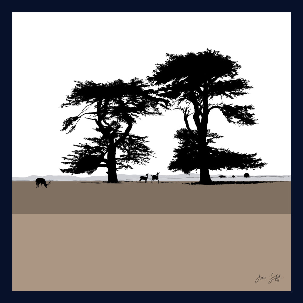 Cedars, Holkham Norfolk. Fine art framed print by Jac Scott.