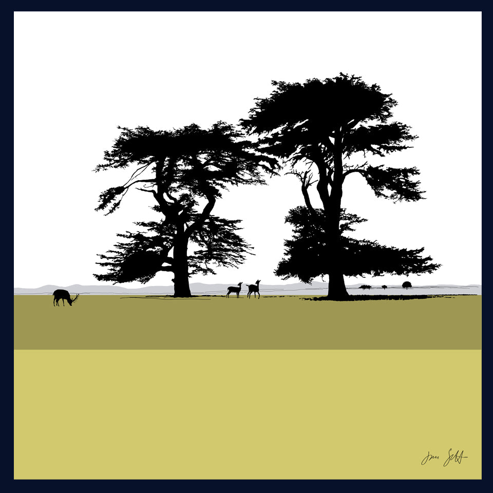 Cedars, Holkham Norfolk. Fine art framed print by Jac Scott.