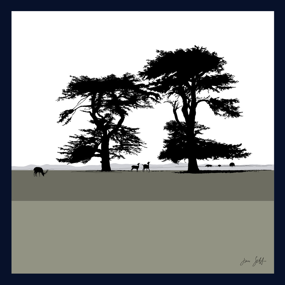 Cedars, Holkham Norfolk. Fine art framed print by Jac Scott.