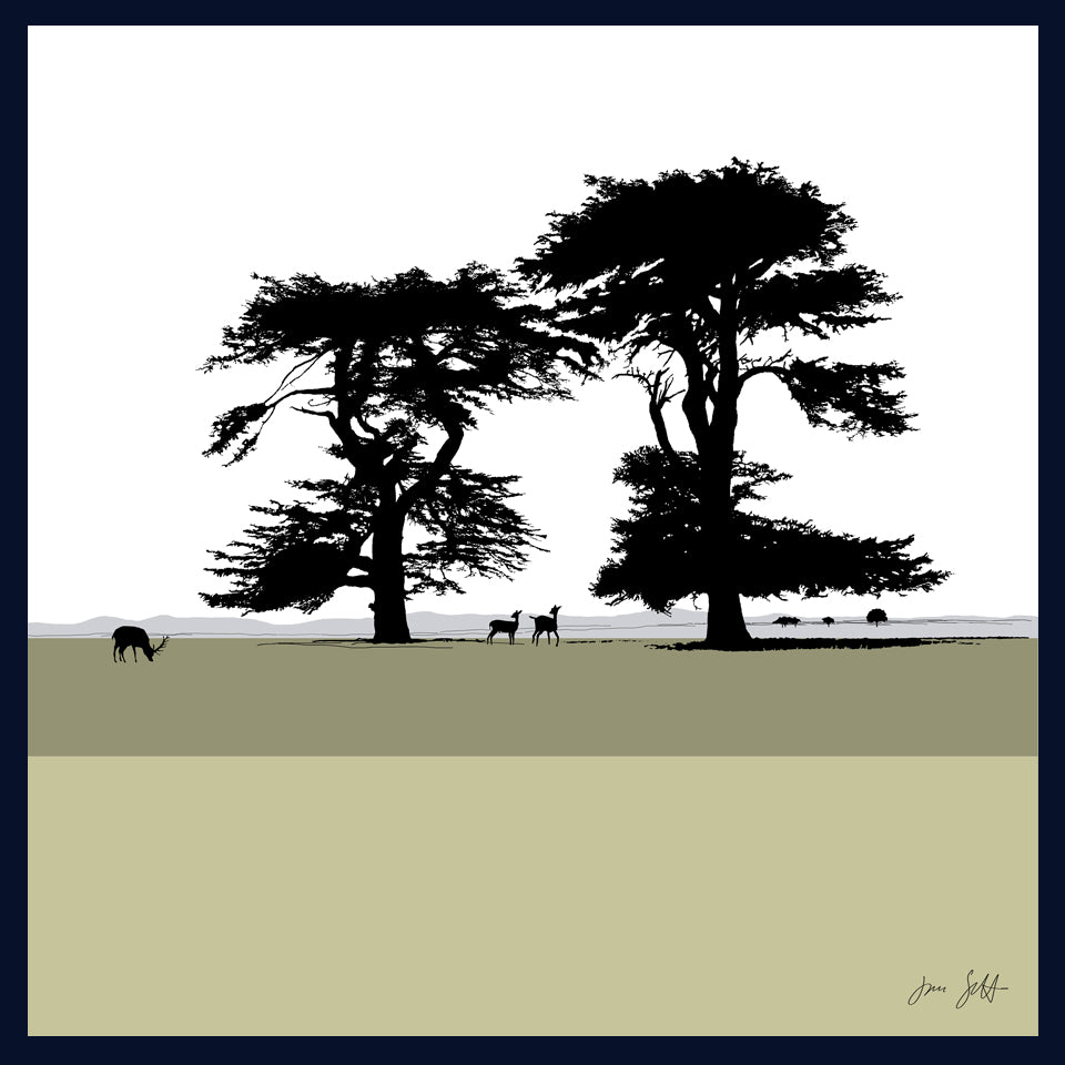Cedars, Holkham Norfolk. Fine art framed print by Jac Scott.