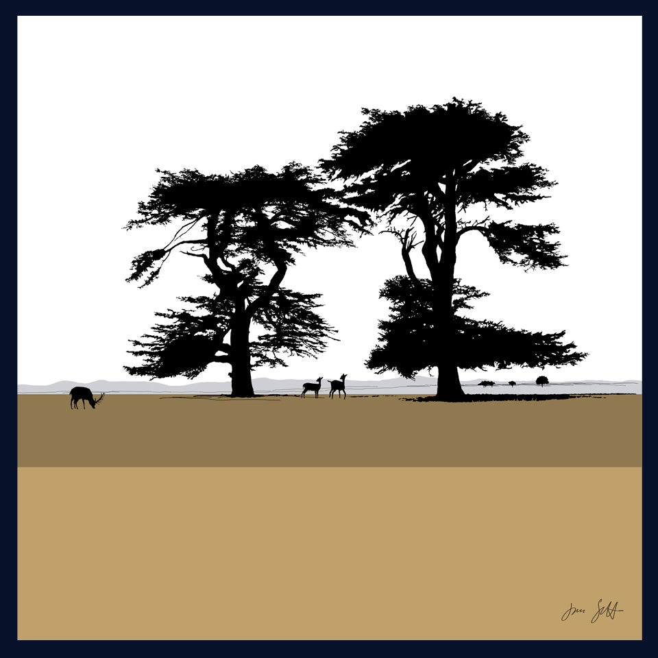 Cedars, Holkham Norfolk. Fine art framed print by Jac Scott.