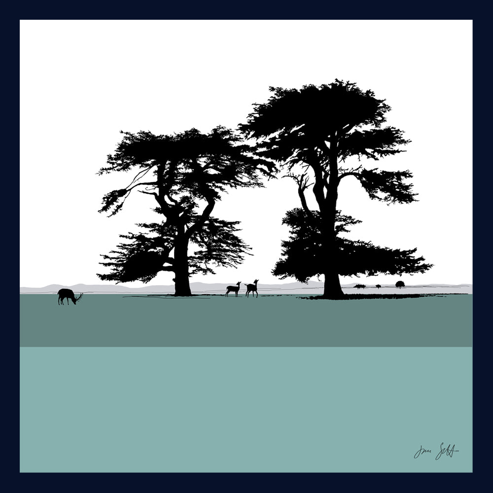Cedars, Holkham Norfolk. Fine art framed print by Jac Scott.