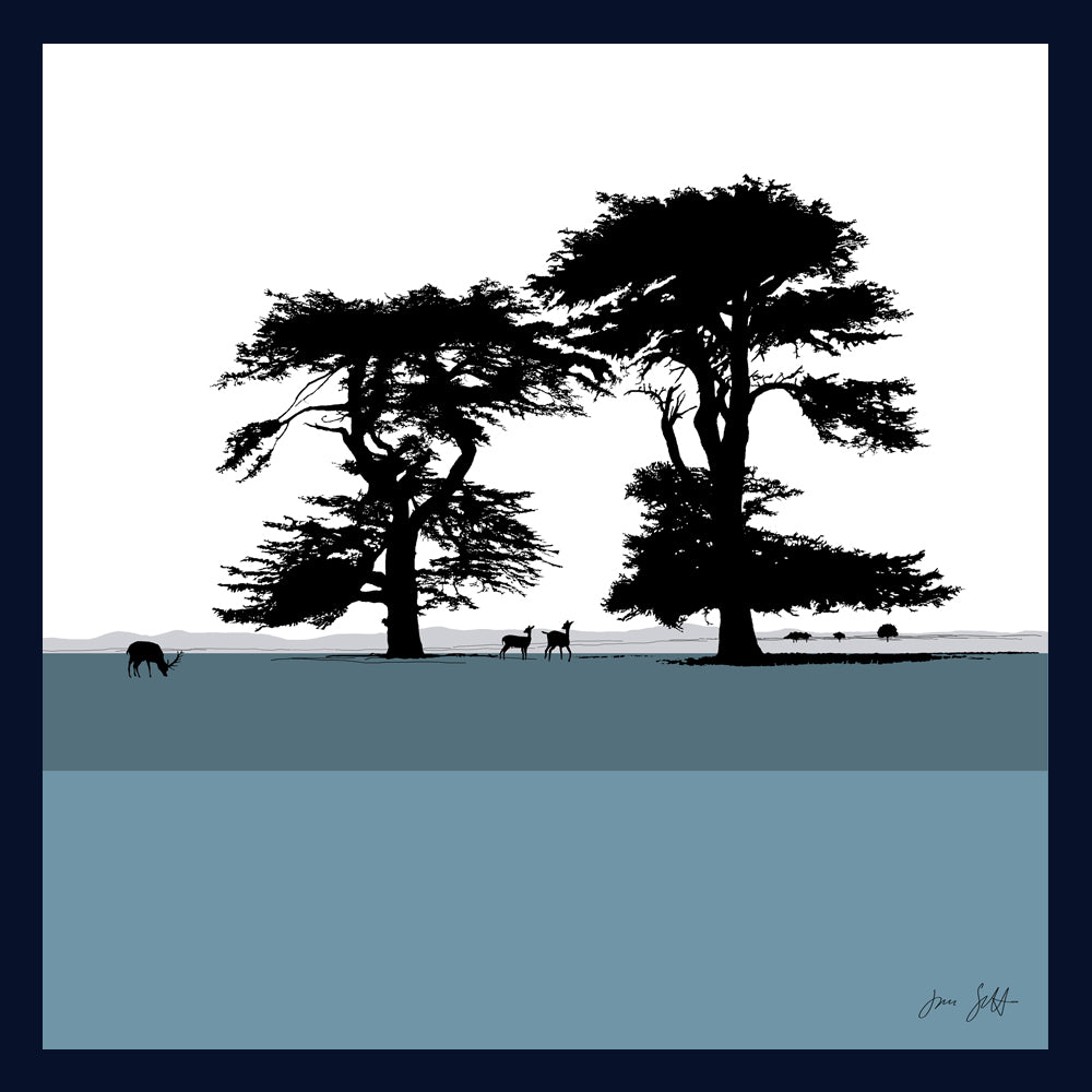 Cedars, Holkham Norfolk. Fine art framed print by Jac Scott.