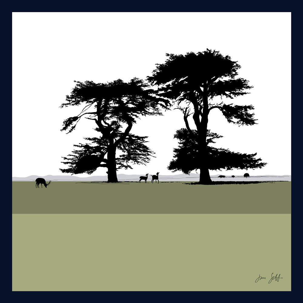 Cedars, Holkham Norfolk. Fine art framed print by Jac Scott.