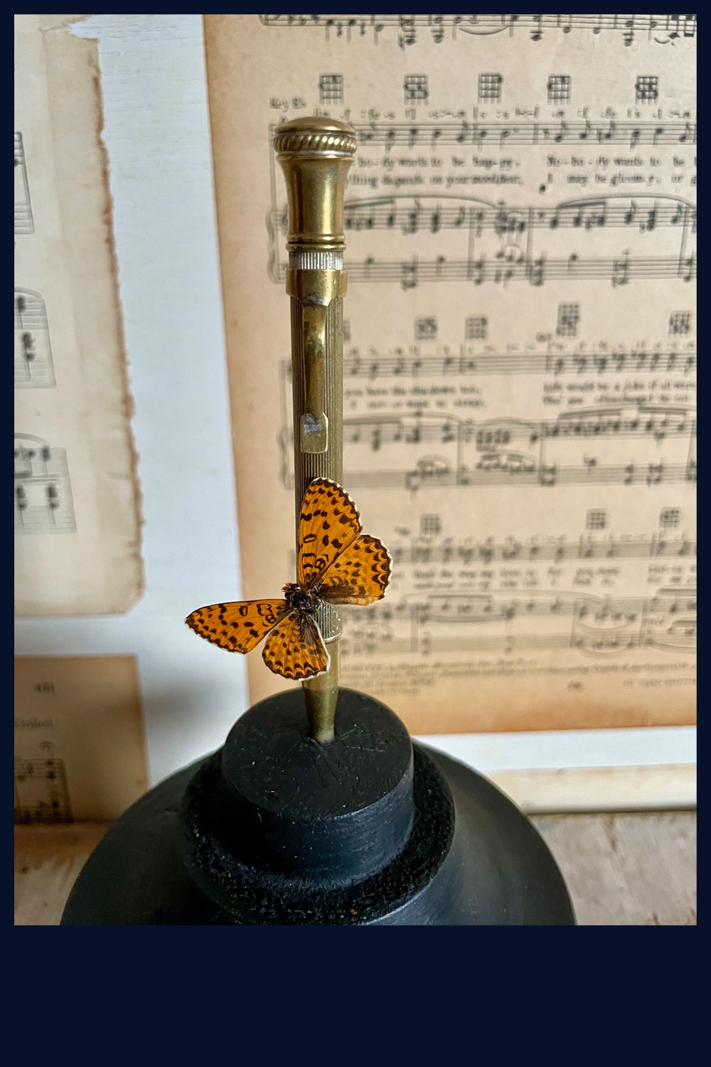 Enigma Variations Collection: Vintage Brass Propelling Pencil with Butterfly in a Display Dome
