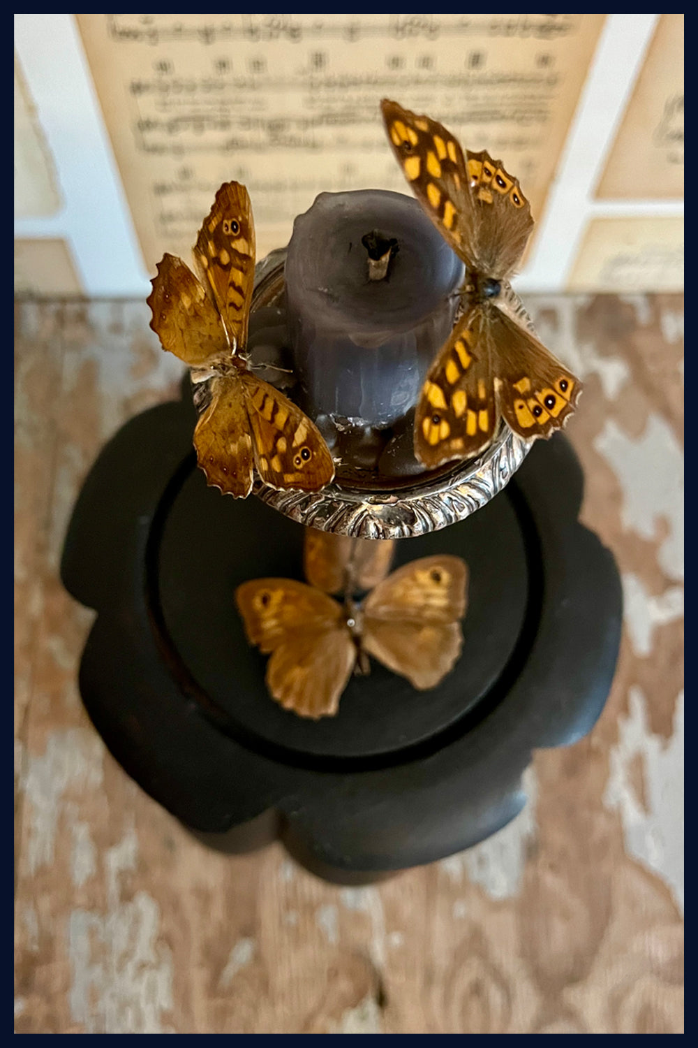 Enigma Variations Collection: Silver & Copper Antique Candlestick with a Vintage Butterfly in an Antique Display Dome