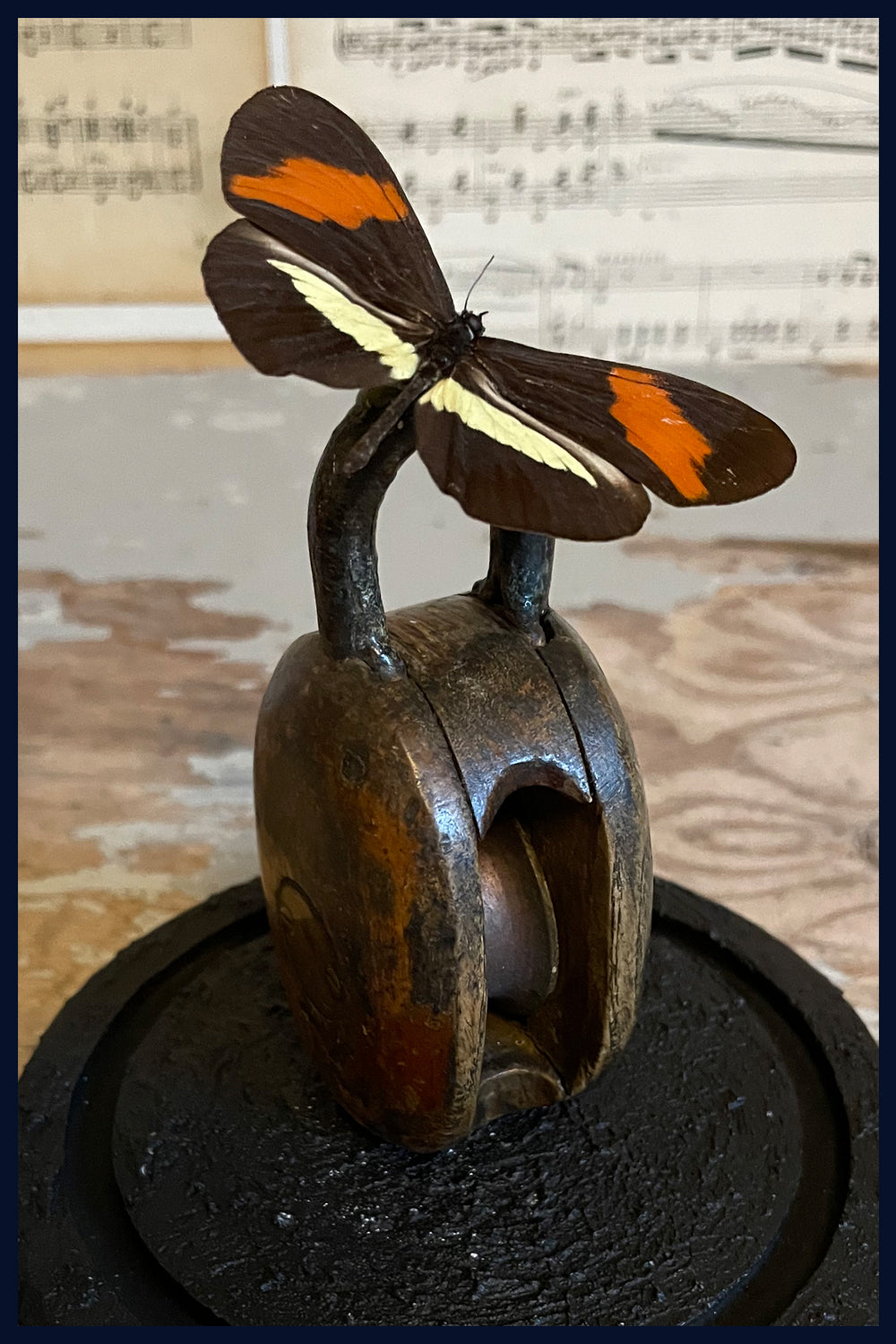 Enigma Variations Collection: Antique Wooden Pulley Block with a Real Butterfly in a Glass Display Dome
