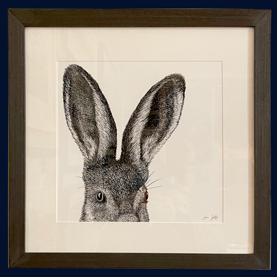 Leveret Norfolk limited edition framed fine art print by Jac Scott