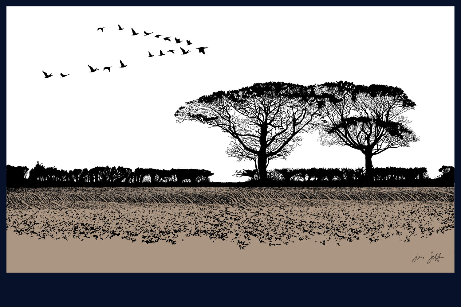 Geese Norfolk fine art prints