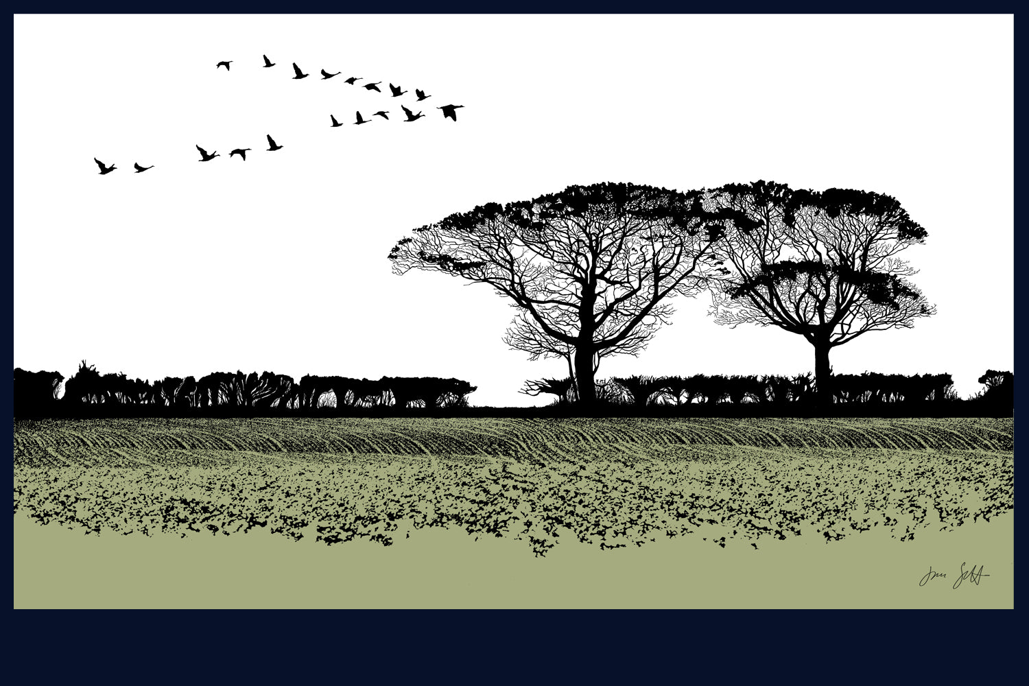 Geese Norfolk fine art prints