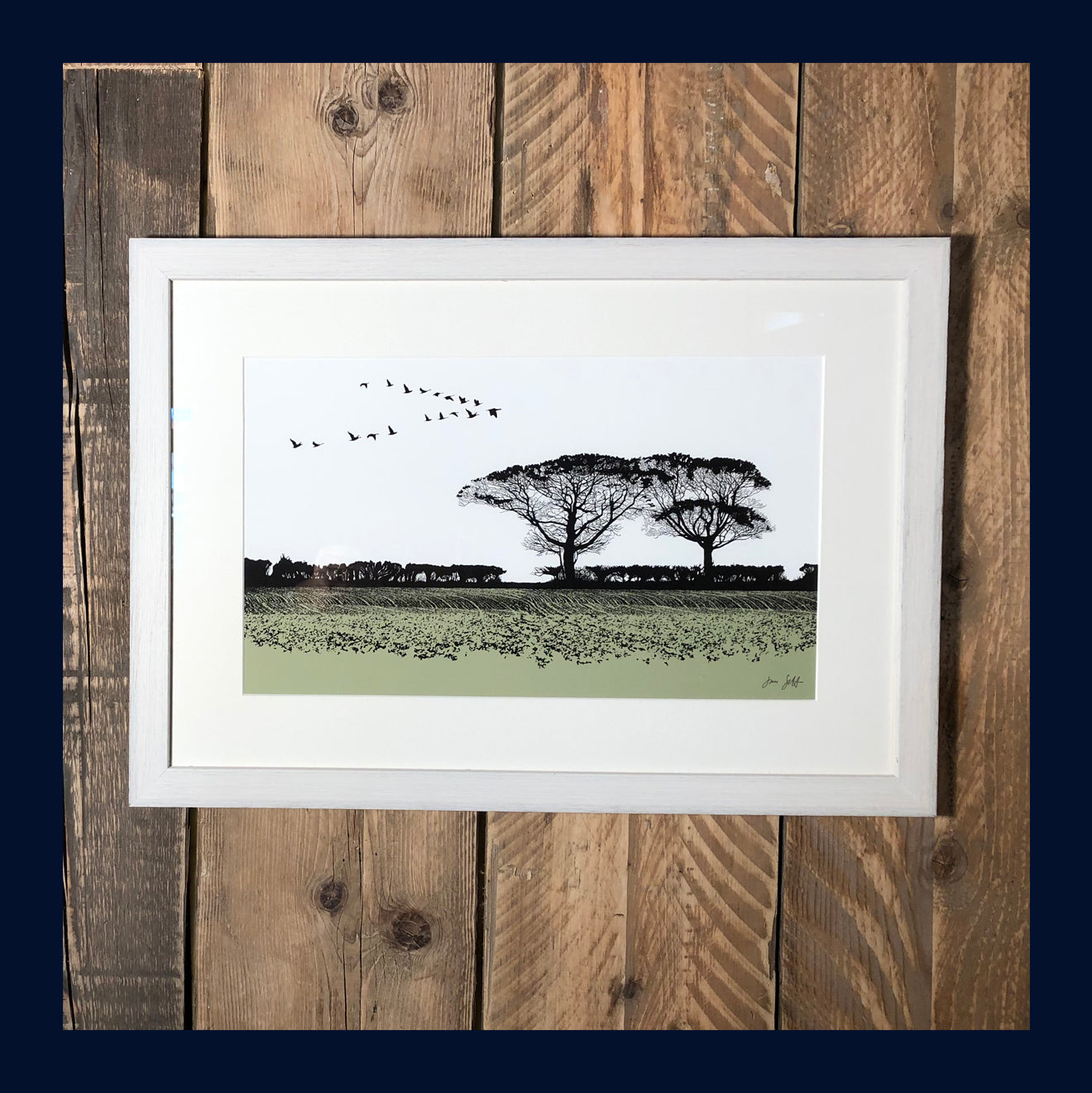 Geese, Norfolk. Fine art print