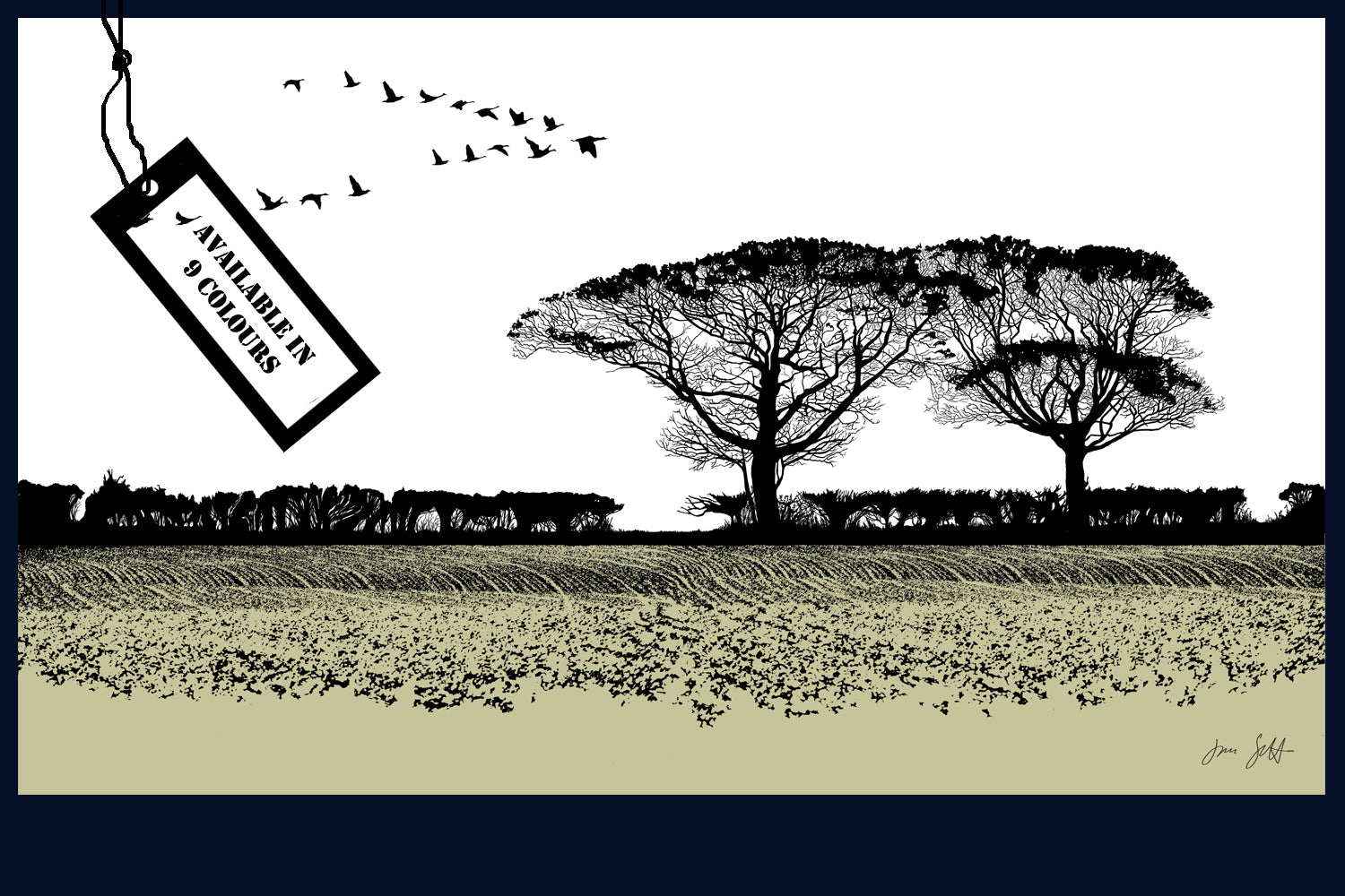 Geese, Norfolk. Fine art print