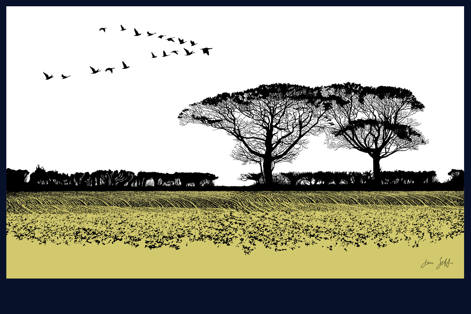 Geese, Norfolk. Fine art print