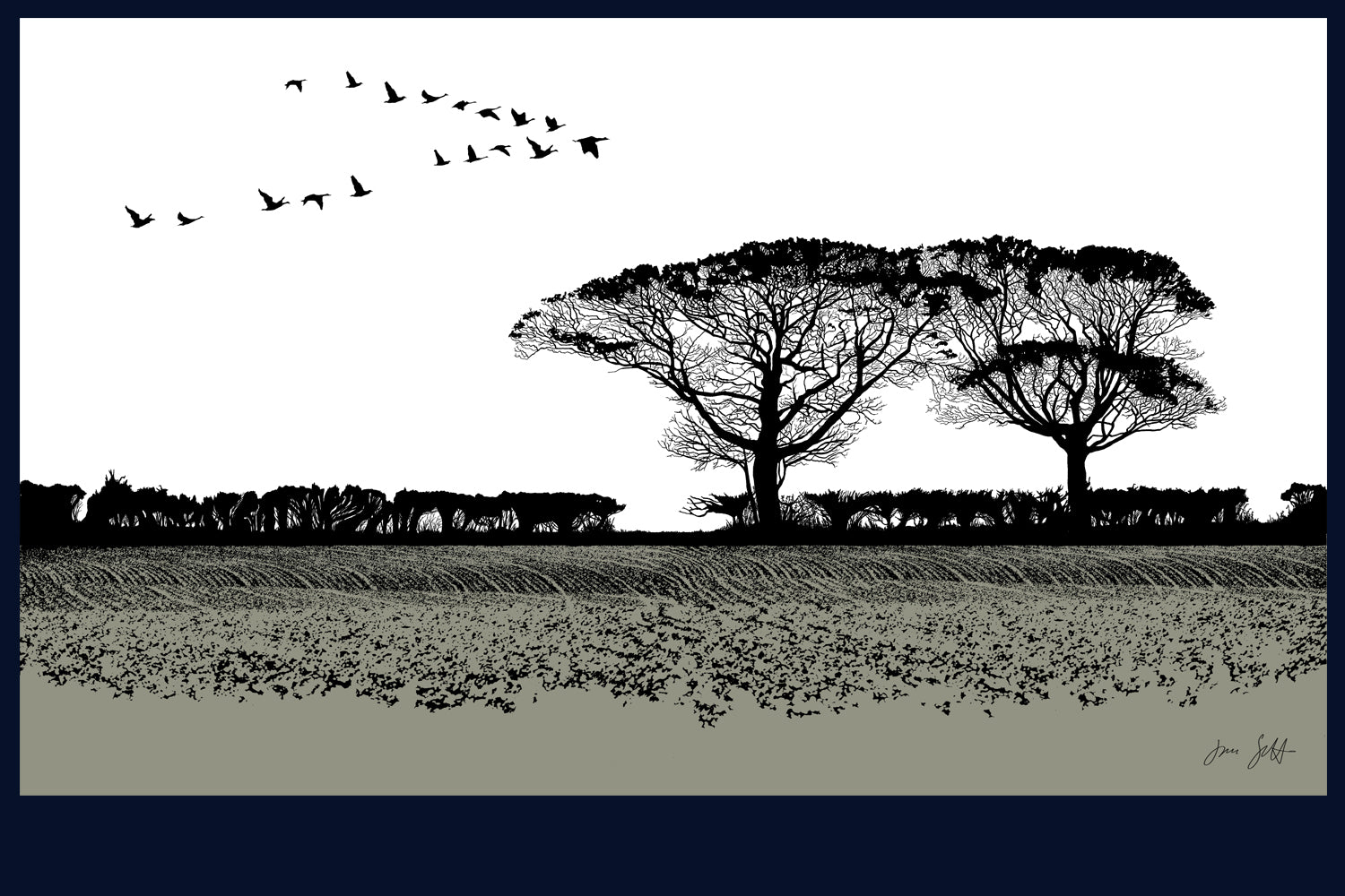 Geese, Norfolk. Fine art print